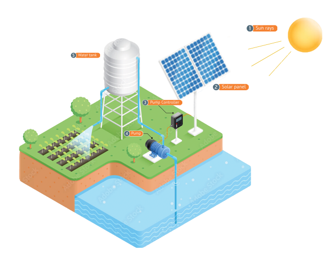 Solar Water Pumps NZ Farm Irrigation Pump Systems Waikato